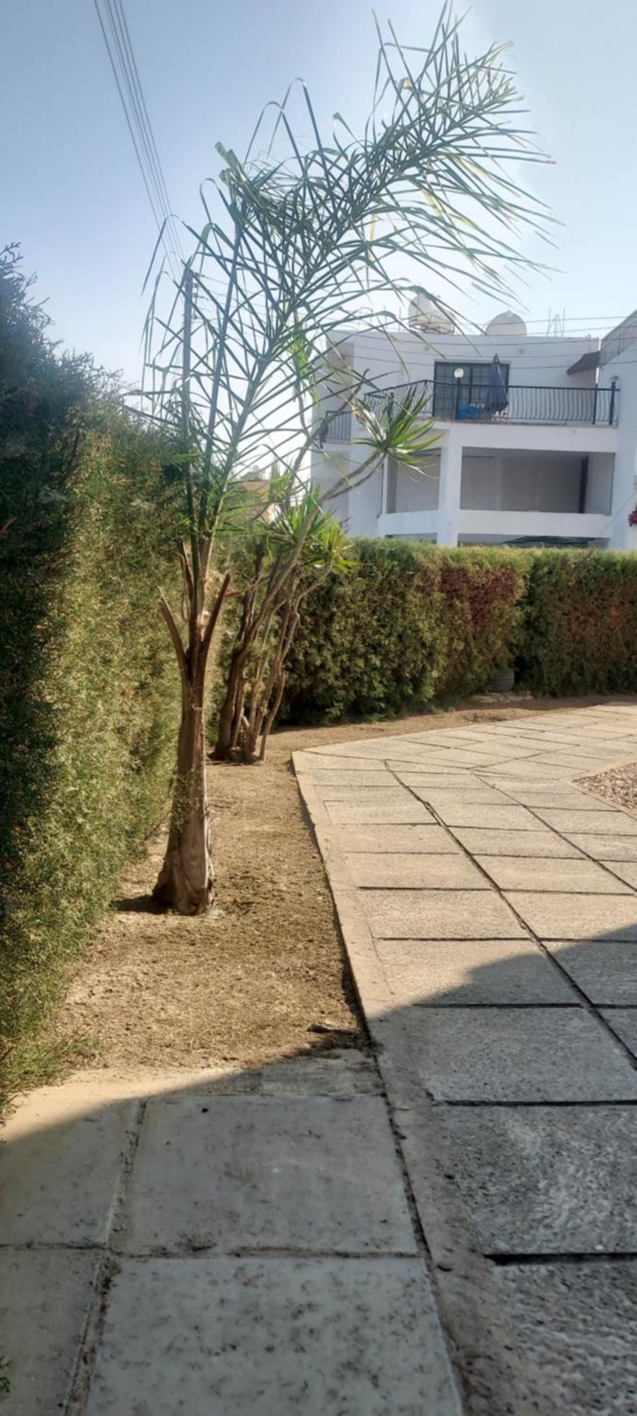 Apartman Magic Sea